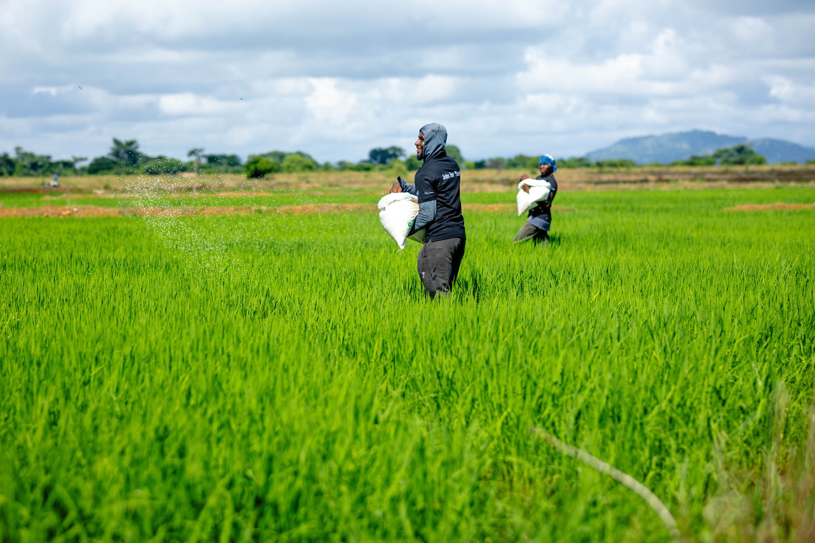 Crop Production & Farming